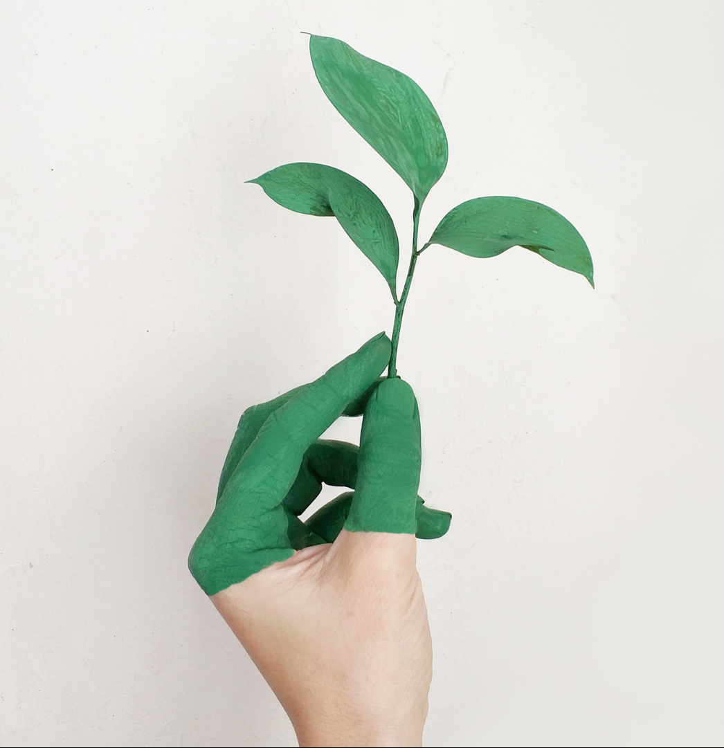 hand mit pflanze in der hand