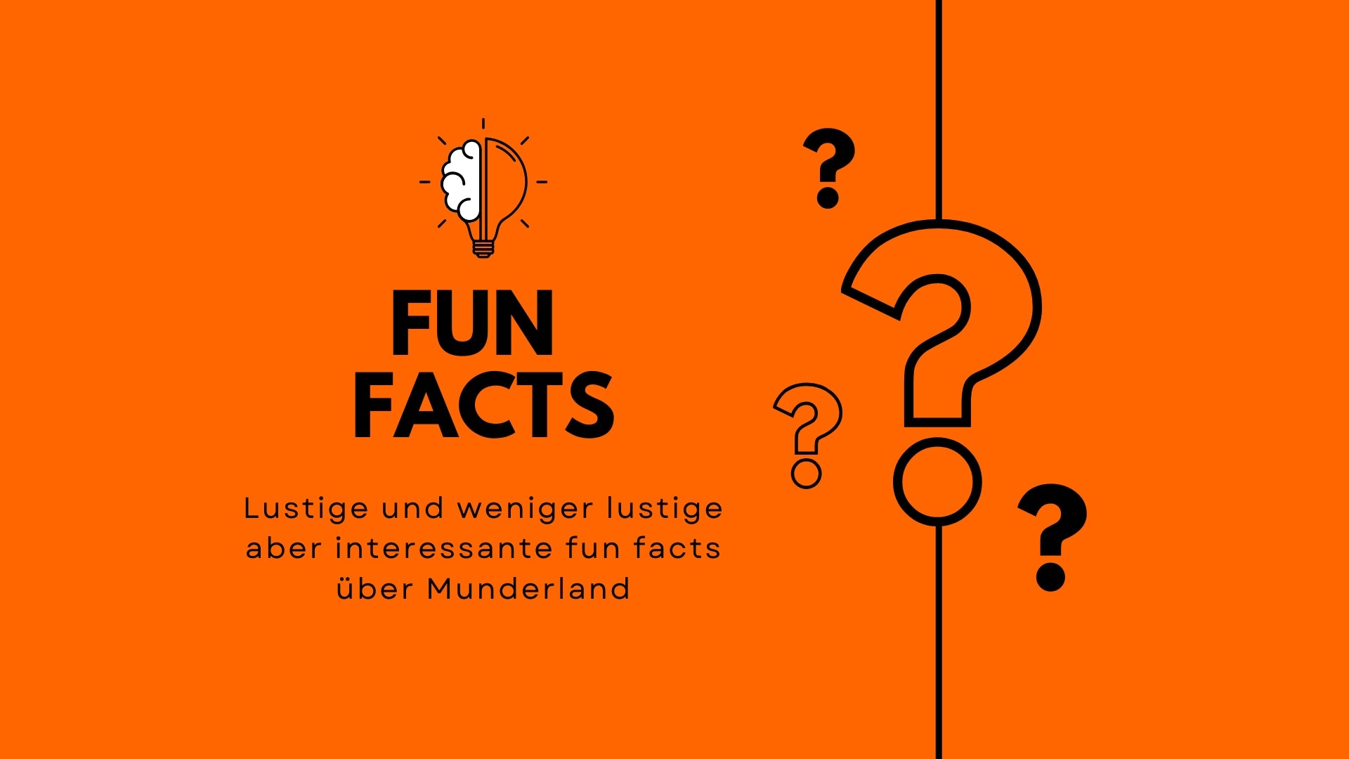 bild mit text über fun facts